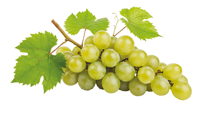Isolated Green grapes on white background