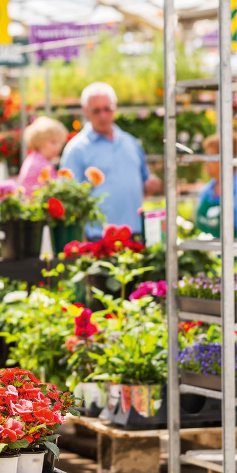 Abundance of colorful flowers at the garden center in Early Summer.