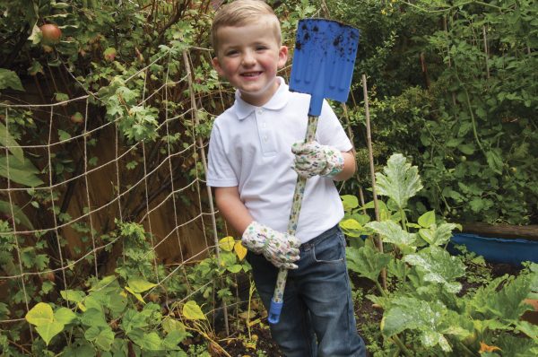 Peter Rabbit spade