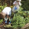 peter rabbit wellies