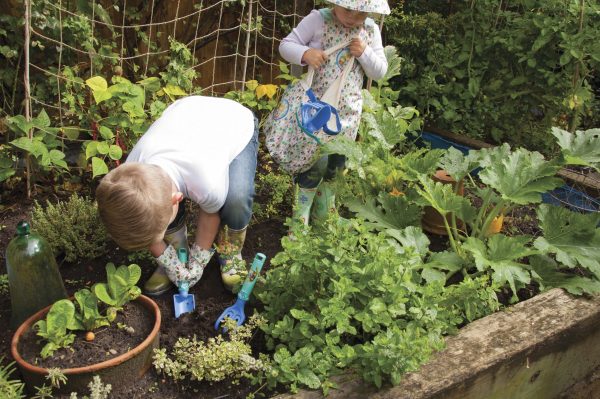 peter rabbit wellies