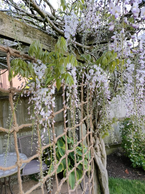 Rope trellis