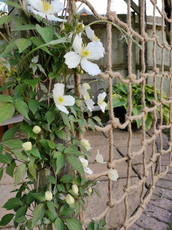 rope trellis plant support