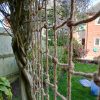 rope trellis plant support