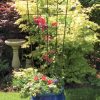 Pot Trellis