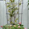 Pot Trellis