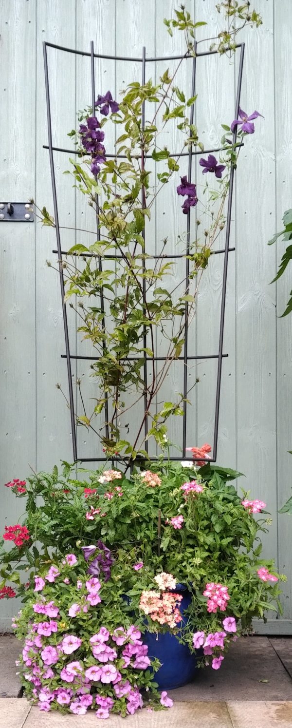 Pot Trellis