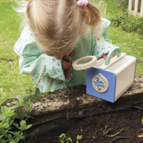 Peter Rabbit Insect House