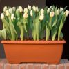 Recycled mini trough with saucer terracotta