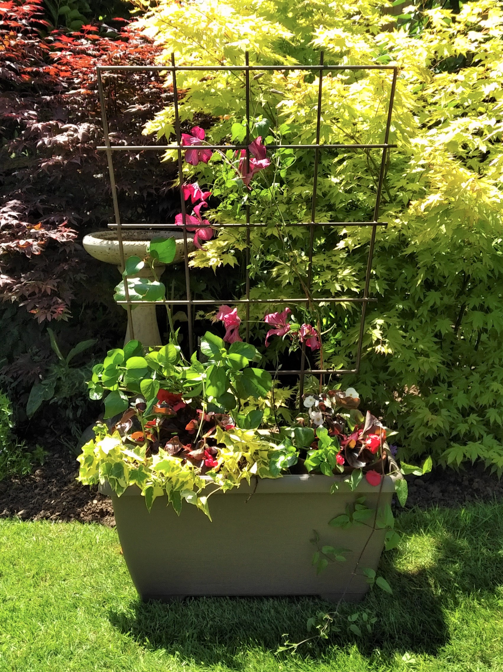 Stone trellis on sale
