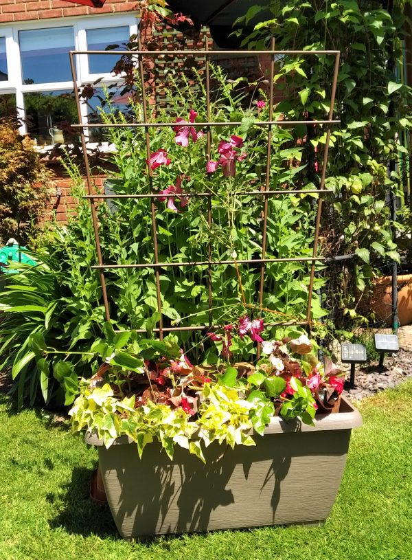 Trough trellis