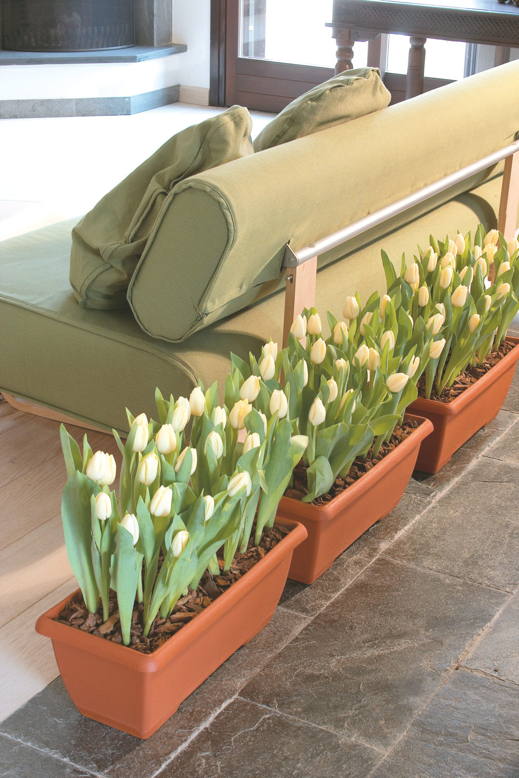 TROUGH WITH SAUCER Treadstone Products