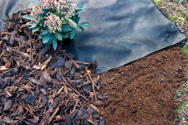 Weed Control Fabric