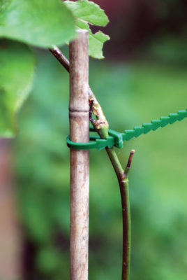 Adjustable Plant Ties