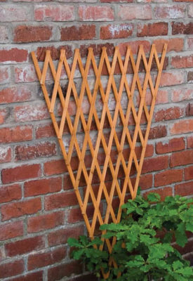 Fan Trellis