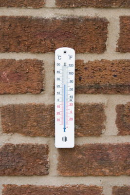 Wall Thermometer