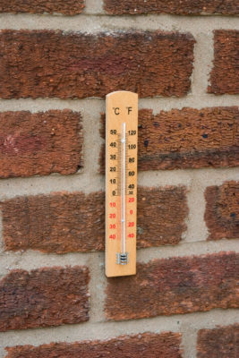 Wooden Wall Thermometer