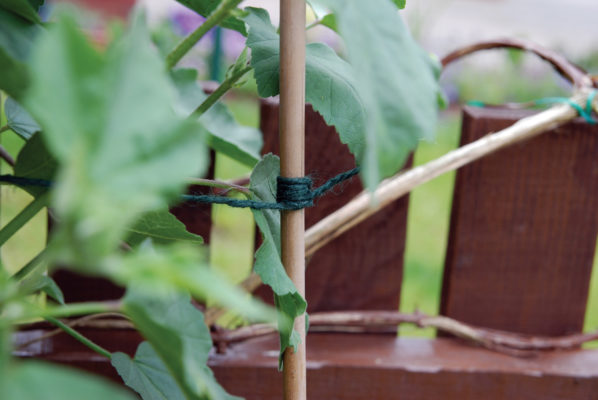 Garden Twine Green