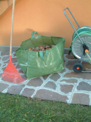 Gardeners Skip Bag