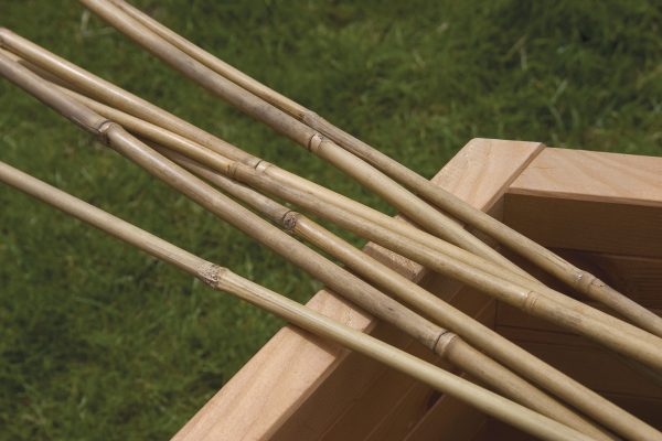 Bamboo Canes