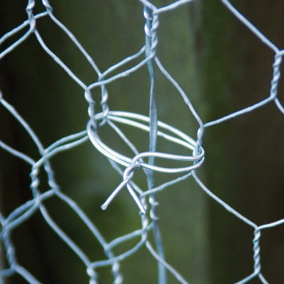 Galvanised Wire