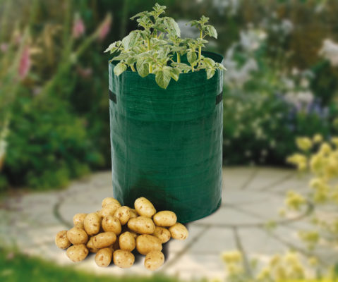 Potato Planter