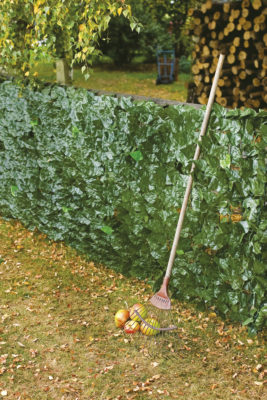 Artifical Ivy Hedge