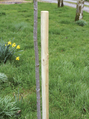 Round Tree Stake