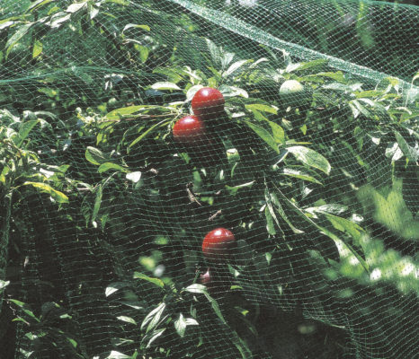 Plant Protection Net