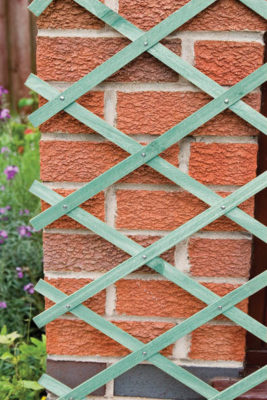 Expandable Trellis Green