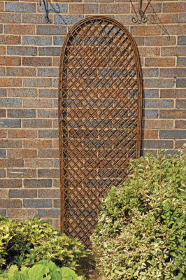 Arch Willow Trellis Panel