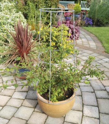 Pot Tower as conical trellis