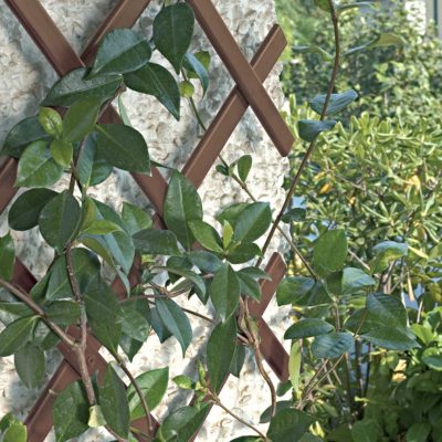 Expandable Trellis Brown