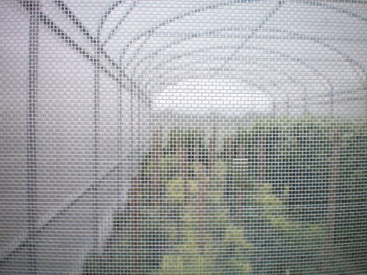 Soft Insect Net