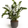 Folia Urban Grey Mood Pot plant pot