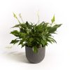 Natura Urban Grey plant pot