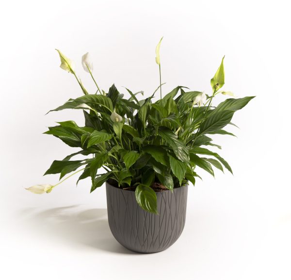 Natura Urban Grey plant pot