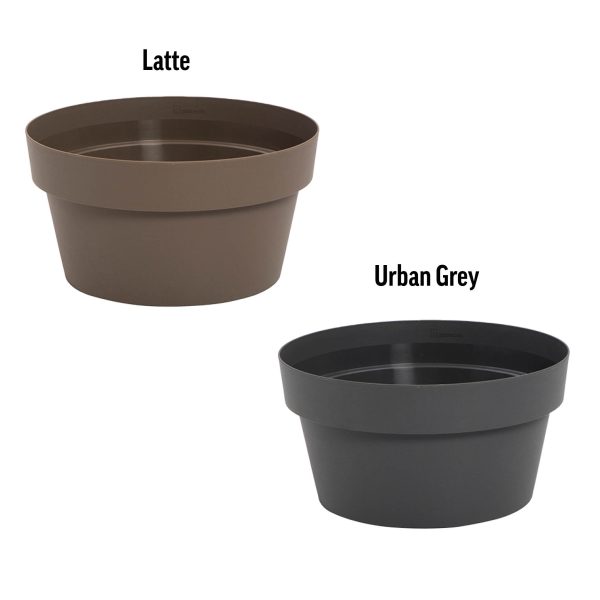 Contemporary Plant Bowls