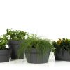 Contemporary Plant Pots Urban Grey