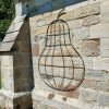 Orchard Garden Trellis Pear