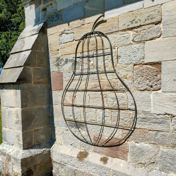 Orchard Garden Trellis Pear