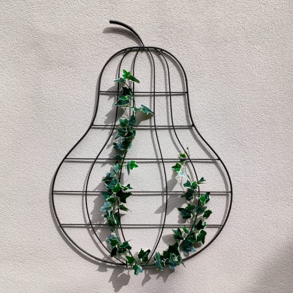 Orchard Garden Trellis Pear