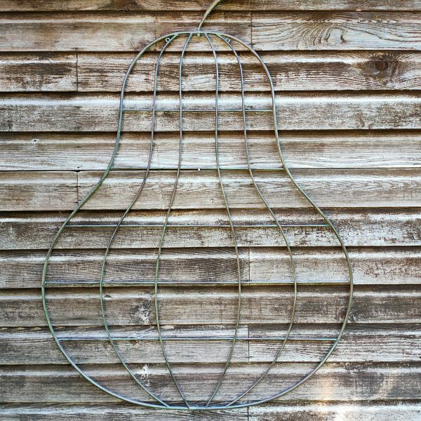 Orchard Garden Trellis Pear