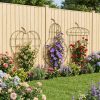 Wall Trellis on fence
