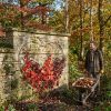 Apple garden trellis